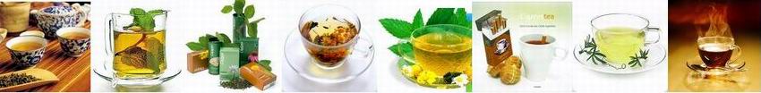 Всё что вы хотите знать о чае: зеленый чай, каркаде, мате, белый, китайский, как правильно заваривать, черный, желтый, все о чае, сорта чая, свойства.